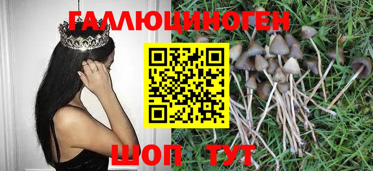 Псилоцибиновые грибы мухоморы Прохладный