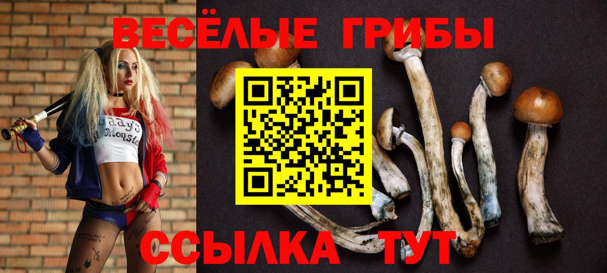 Прохладный  где найти наркотики  Псилоцибиновые грибы MAGIC MUSHROOMS  Вход с VPN  Псилоцибиновые грибы GOLDEN TEACHER 